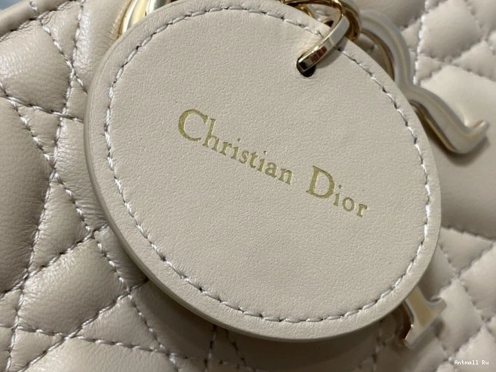 Lady Dior Premium Bags 75903 My Christian 0725